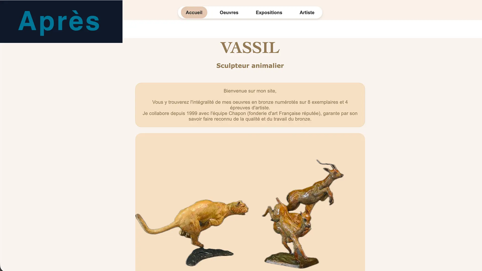 Page d'accueil du site Vassil.fr après refonte - interface utilisateur avec filtres et cartographie